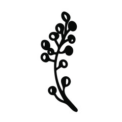 Vector Simple Christmas plant in doodle style with black line on white background.Floral,winter,botanical,mininmalist hand drawn illustration.Design for stickers,packaging,web,printing,posters. 