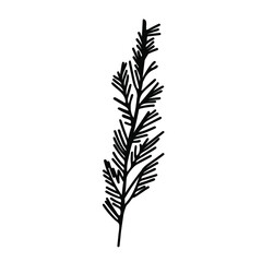 Vector Simple Christmas plant in doodle style with black line on white background.Floral,winter,botanical,mininmalist hand drawn illustration.Design for stickers,packaging,web,printing,posters. 