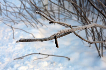 Beautiful white and snowy Finland winter scene in Espoo, Finland. 