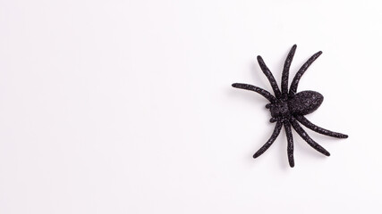 Flat lay banner of one black horror spiders on white backdrop with copy space. Halloween decoration spooky background concept for holidays