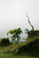 Scenic view of top hill in a rural village called Sidemen, Karangasem, Bali, Indonesia