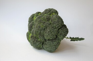 Broccoli cabbage one piece on a white background, minimalism