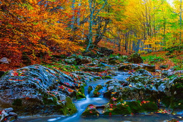 small river in mountain canyon covered by red dry leaves, natural mountain seasonal scene