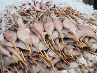 Fresh squid on skewers prepared for seafood grilling on a charcoal grill.