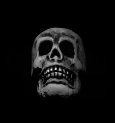  Scary skull isolated in black and white  with black background