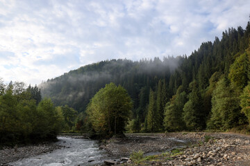 Picturesque view of beautiful river flowing near forest in morning