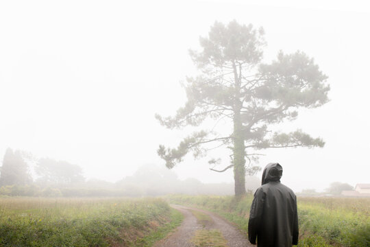 Anonymous Person In Foggy Countryside