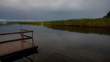 reeds in lake, big white bird in distance, wooden footbridge