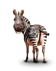 Rolgordijnen Smiling zebra with QR barcode on back © Sergey Novikov