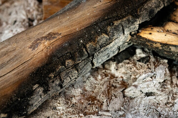 close up of a burned tree bark