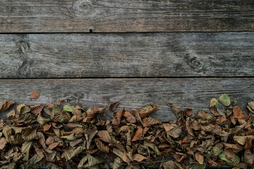 autumn dry leaves on wooden planks
