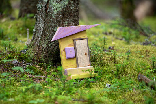 A fairy house at the bottom of a tree. There's a small yellow house with a purple wooden roof, a single door, and a purple window. The house is sitting on the vibrant green mossy ground. 