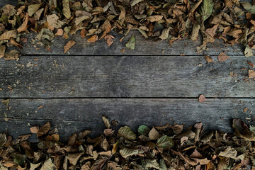 autumn dry leaves on wooden planks