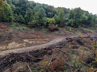 Fruska Gora corridor in Serbia. Preparation for a Road construction. Forest clearing due to road and tunnels.