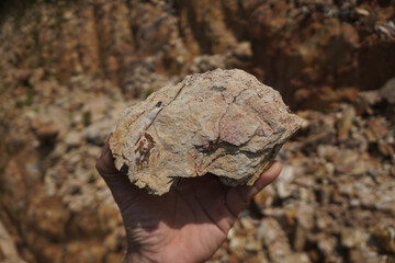 raw specimen of shale sedimentary rock in hand.