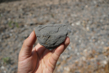 Hand is holding a specimen raw of black shale sedimentary rock.