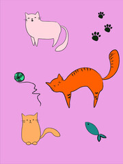 Vector cat set illustration for children, books, textile, zoo shop.