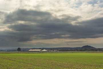 Freshly sown field with barns and trees on the horizon under a cloudy sky.
