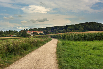Fototapeta na wymiar Winding dirt path between fields of corn and a country house in a rolling summer landscape under a blue cloudy sky.