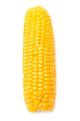 Ripe ear of corn isolated on a white background.
