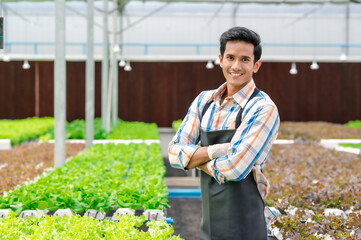 Happy young adult asian man smiling arms crossed confidently in hydroponic vegetables farm. Small business entrepreneur success concept