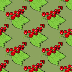 Seamless pattern with sweet red currant on green background. Vector image.