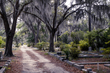 A dirt road leads through the tombstones and Spanish moss-covered trees in the creepy Bonaventure...