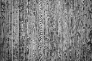 Close up image of the new wooden texture.