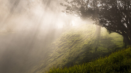 Silhouettes of people walking in the fog at Mt Eden summit with sun rays coming through the trees and volcanic crater in the foreground, Auckland