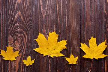 Naklejka na ściany i meble autumn background with colored leaves on wooden board