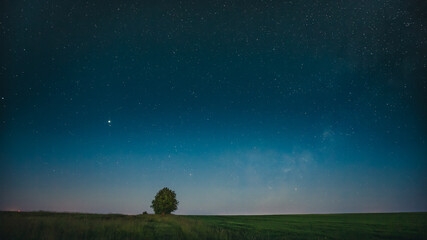 Blue Night Starry Sky Above Lonely Tree In Meadow. Glowing Stars And Wood In Summer Countryside Landscape.