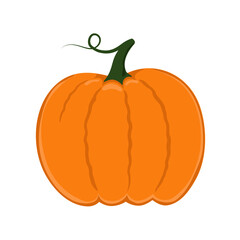Pumpkin. Thanksgiving and Halloween element. Template for autumn decorative design.