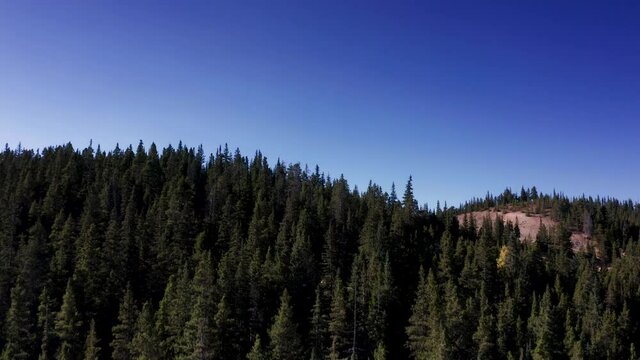 Aerial 4k wide shot. Drone flying over scenic fall colors in the Colorado Rocky Mountains. Lush forest covers mountains.  Outdoor nature scape mountains wild aerial establisher. 4k establisher