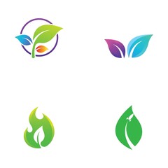 Fototapeta na wymiar leaf logo and vector images