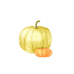 White and orange pumpkins. Autumn harvest. 