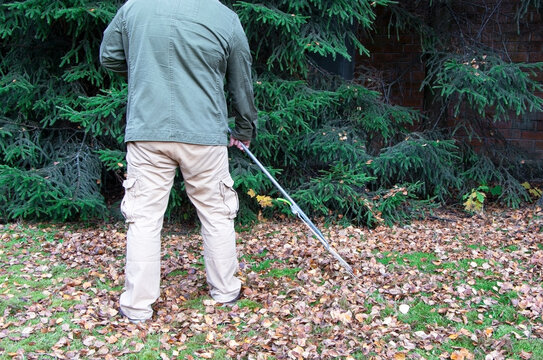The man with rake removes fallen leaves.The gardener removes of fallen leaves.Fallen leaves. Autumn time.Green grass and moss.Cleaning of the territory