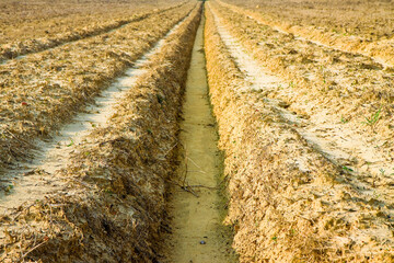 Ditch of rainwater collection in a plowed field