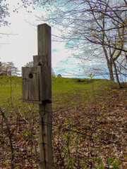 bird house in the forest