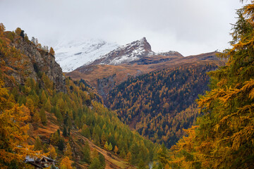 View of landscape snow alp mountain in autumn at swiss