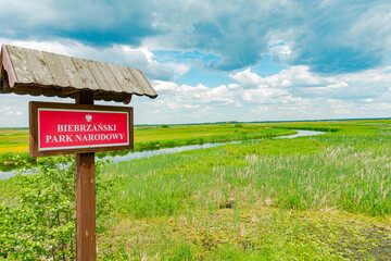 biebrza biebrzański park narodowy rzeka potok strumień rzeczka łąka pole pola pastwisko...