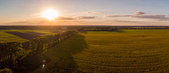Contrast photo of agricultural fields in the countryside at sunset. Rapeseed field with a setting sun in the background