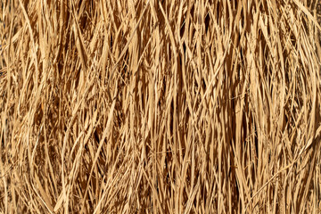 Straw texture background. Close up.
