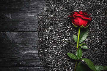 Red rose flower close up on the iron chain mail background.