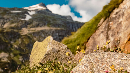 Beautiful alpine summer view at the famous Koelnbreinsperre dam, Maltatal, Kaernten, Austria