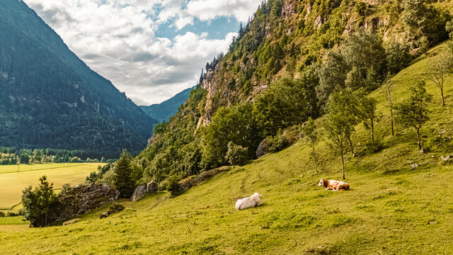Beautiful alpine summer view at the famous Fallbach waterfall, the highest waterfall in Kaernten, Maltatal, Austria