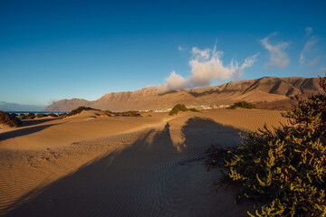 Sandy dunes with plants and shadows at sunset in Famara beach in Lanzarote.