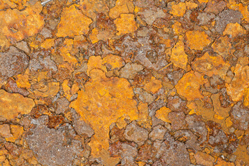 Rusty metal texture