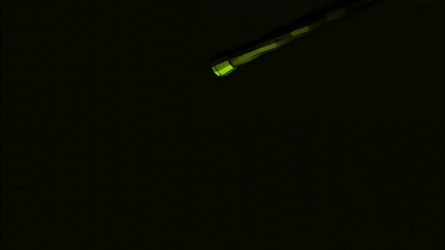 A medieval sword of green color flying against black backdrop. Design. Game of light and shadow, concept of war or battle, sharp weapon in the dark.