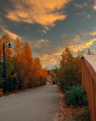 Autumn street view beautiful colours