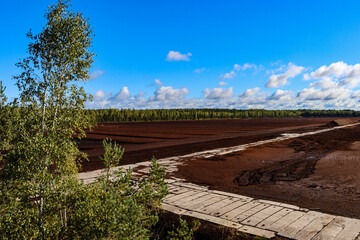 Landscape with a peat extraction field